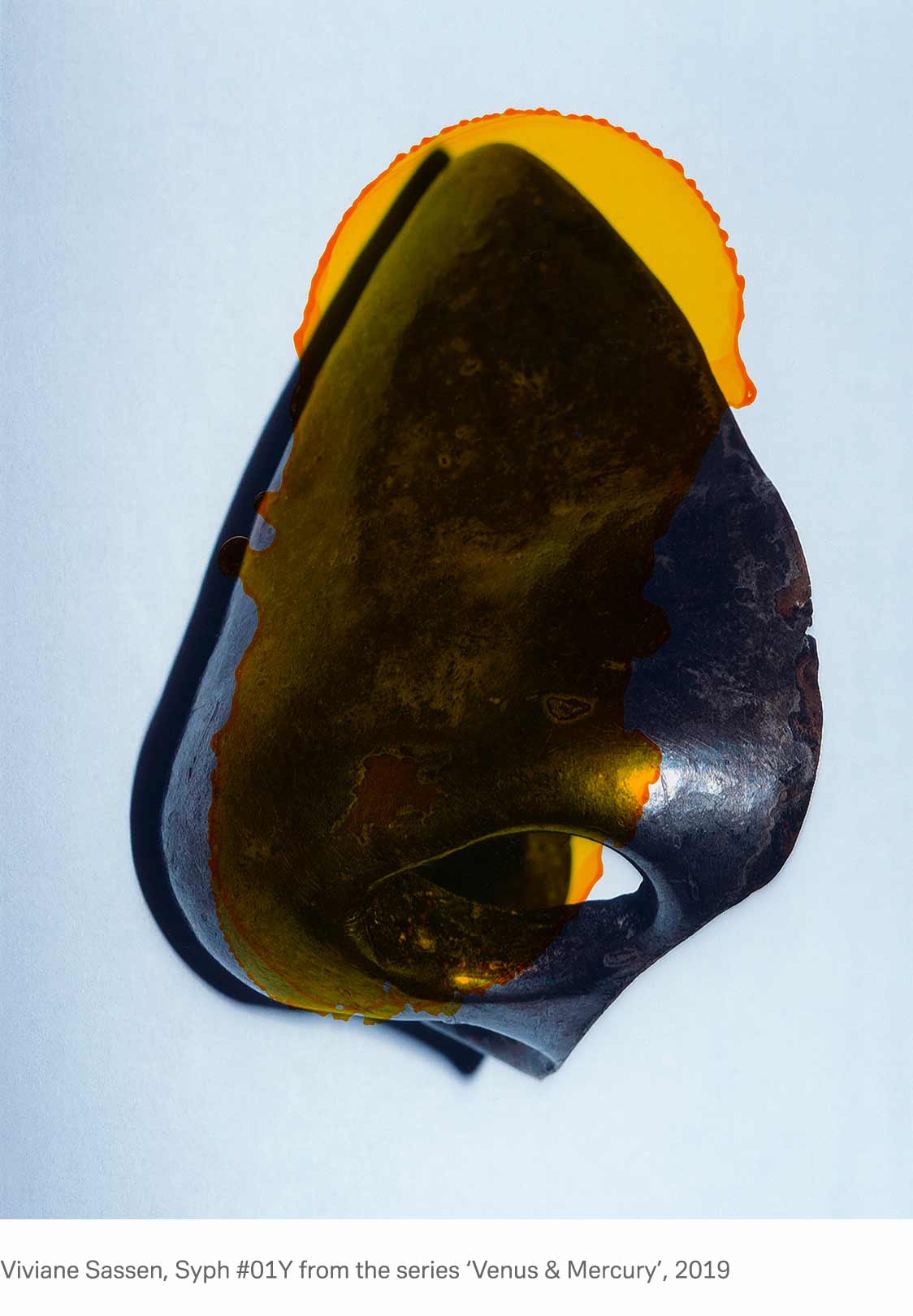 viviane-sassen-nose.jpg