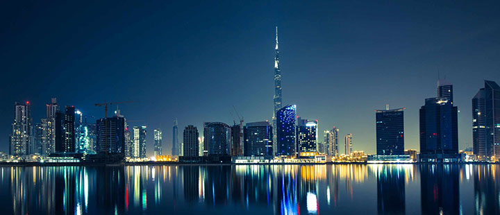 UAE wealth management services