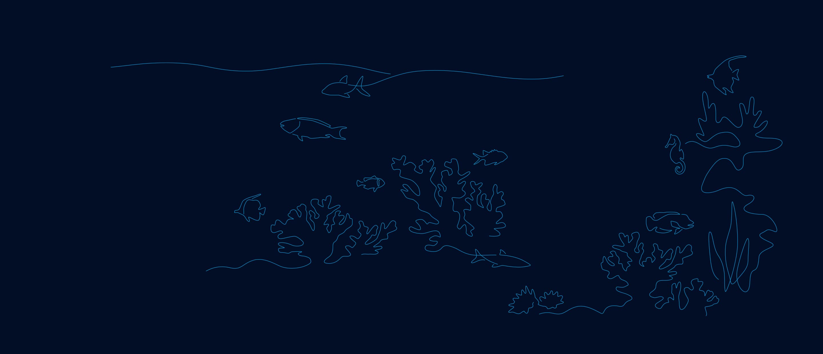 Coral art : ocean resilience fund 