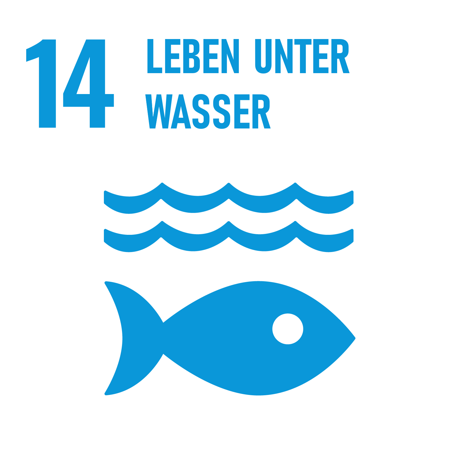 leben unter wasser