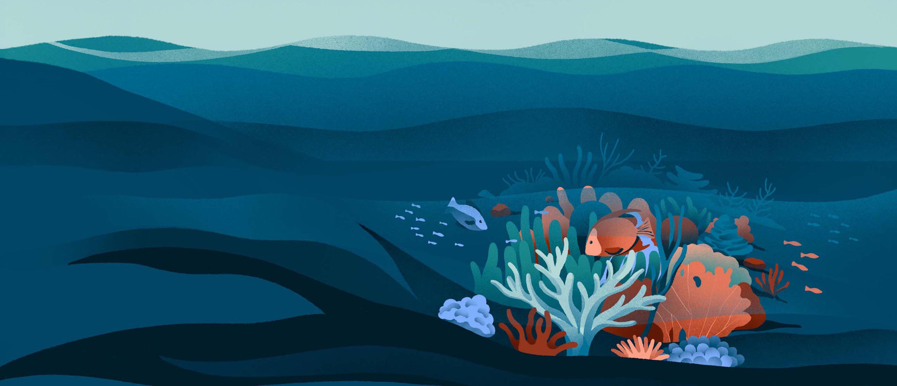 coral rainforest of the sea | The blue economy