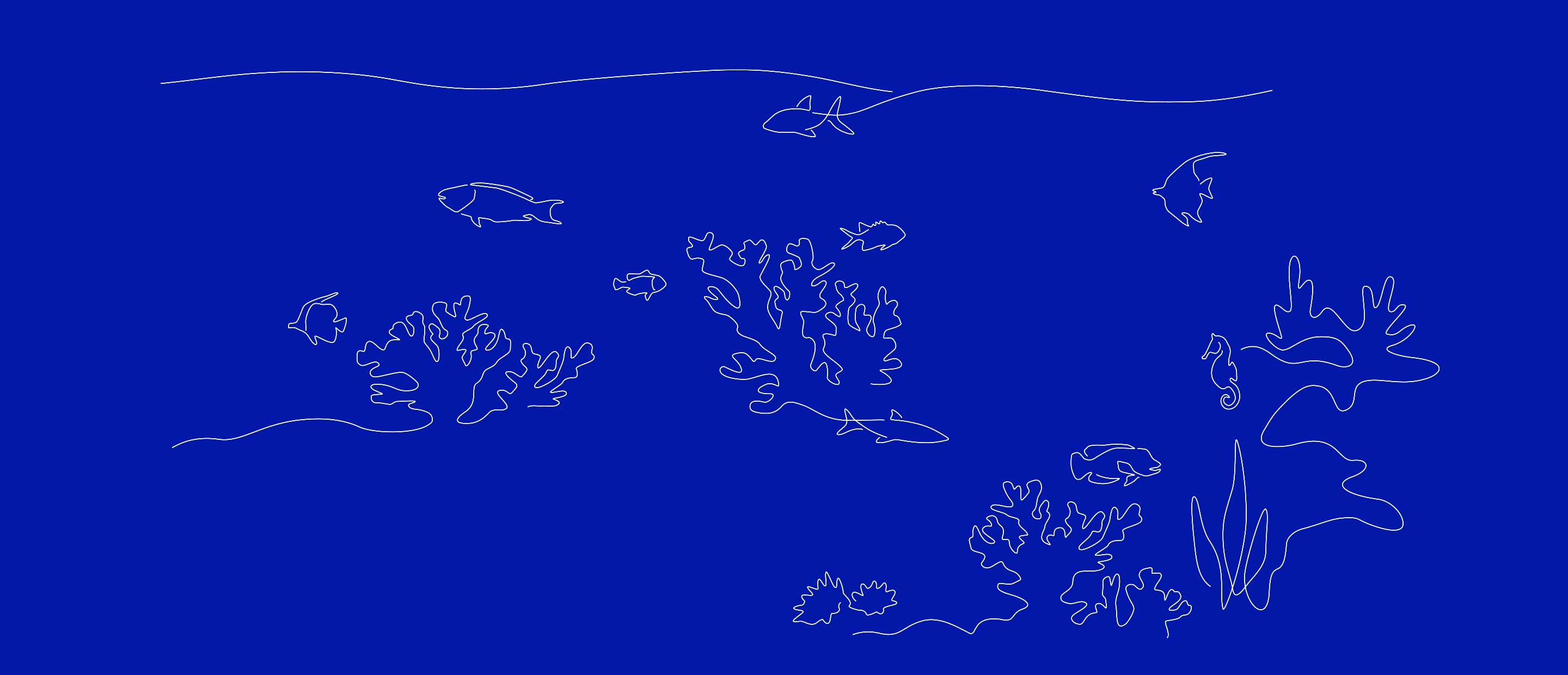 The Future Climate Coral Bank: Impact report, October 2022