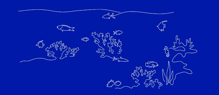 The Future Climate Coral Bank: Impact report, October 2022