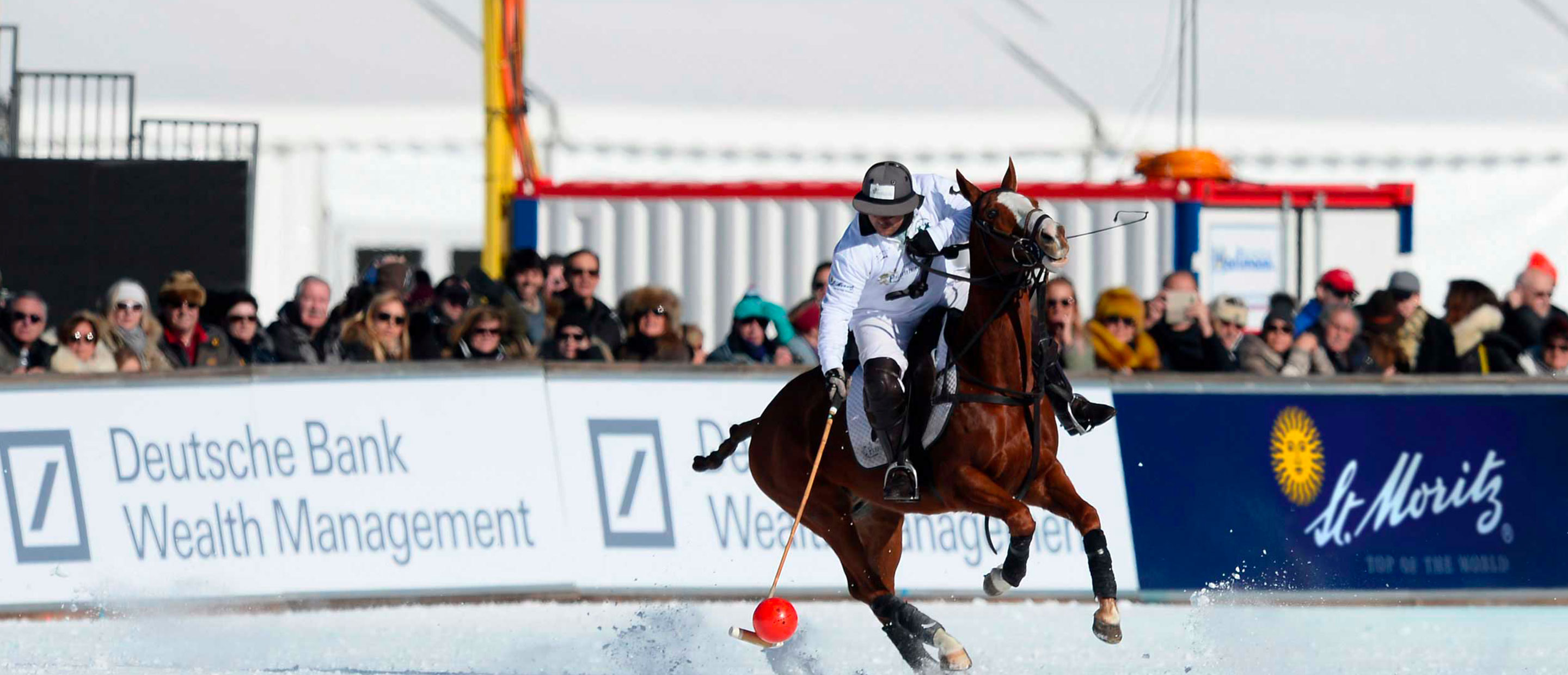 DB_2880x1240_St_Moritz_Polo.jpg