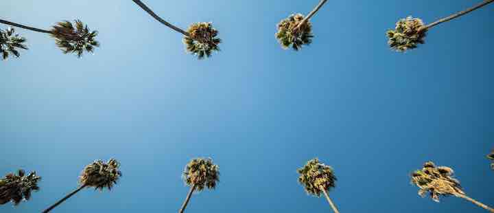 frieze-los-angeles-2023-banner.jpg