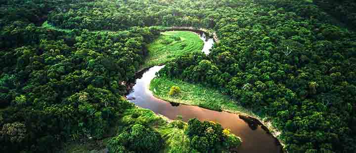 Jorg Eigendorf amazon rainforest