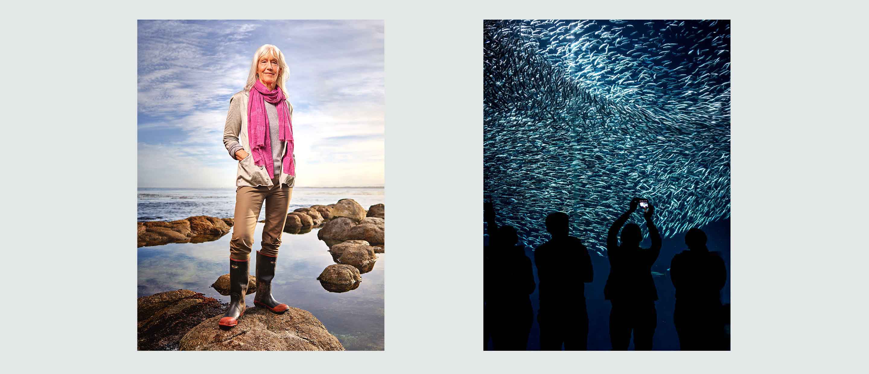Julie-Packard-Monterey-Bay-aquarium.jpg
