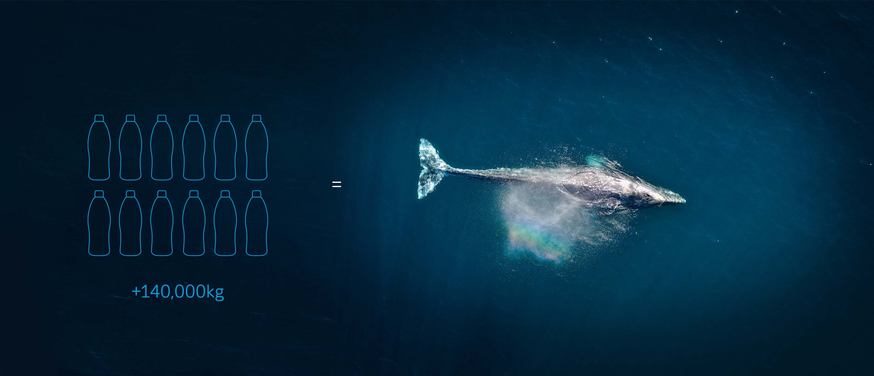 Blue-whale-140.jpg