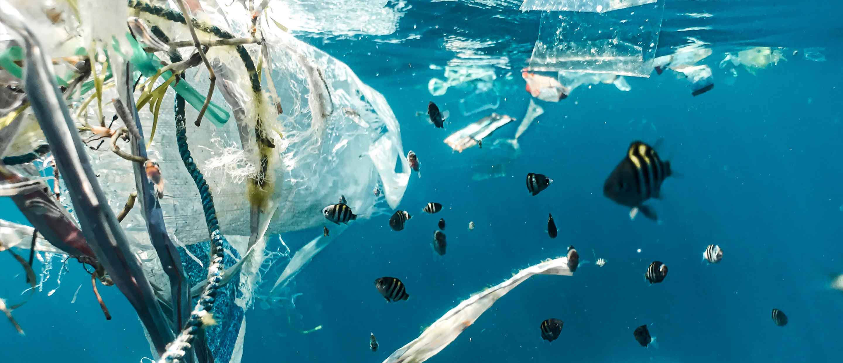 Ocean-plastic.jpg