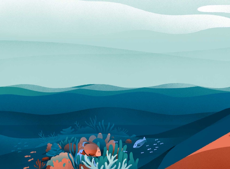 ocean-resilience-philanthropy-fund-crop.jpg