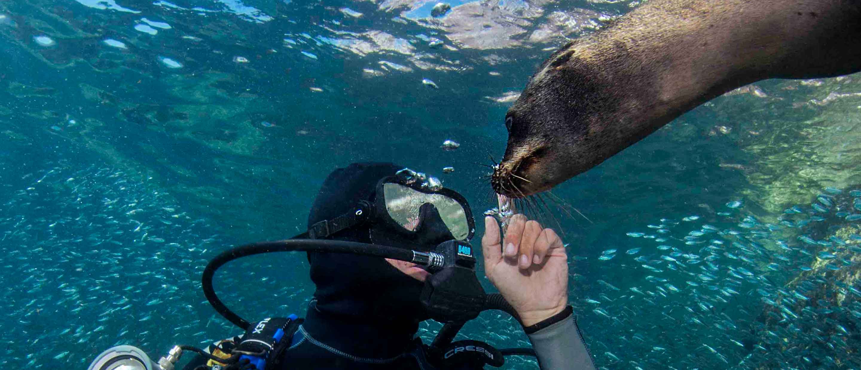 underwater deutsche bank 2