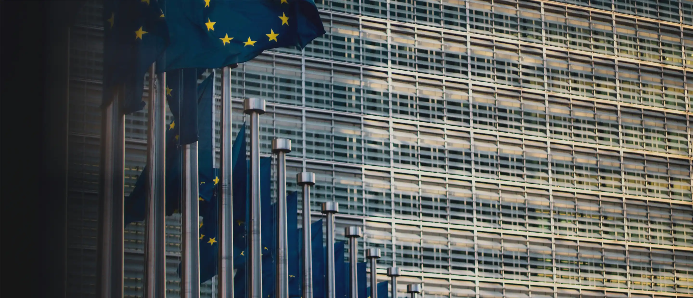 EU flag