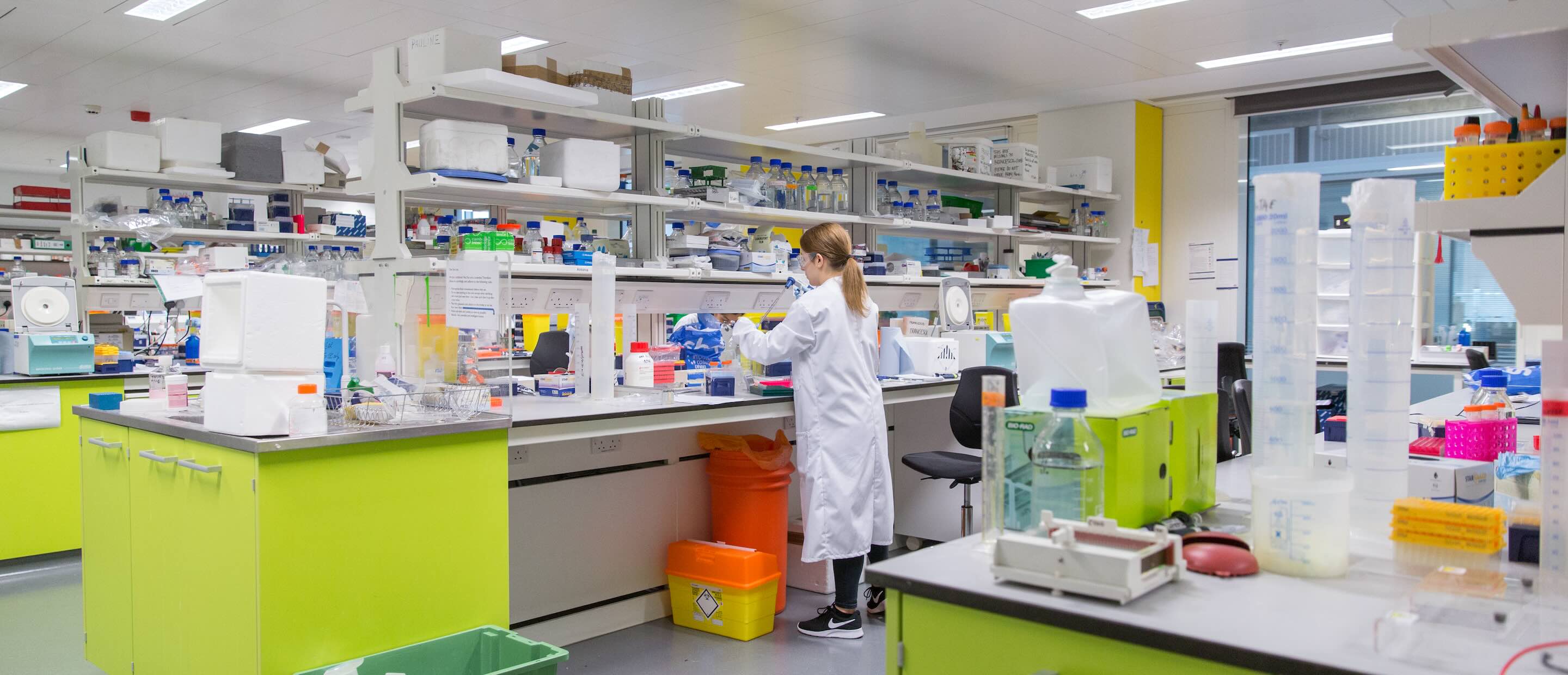 A scientist at work in the Cell Biology and Functional Genomics laboratory at Imperial College London