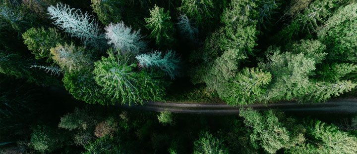 mob-nature-based-solutions.jpg