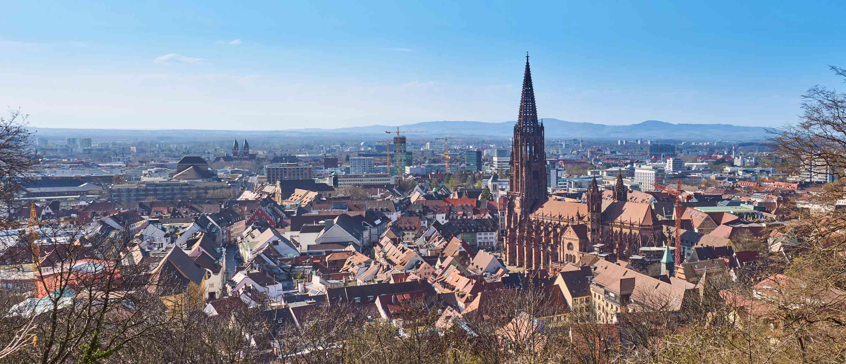 Freiburg wealth management