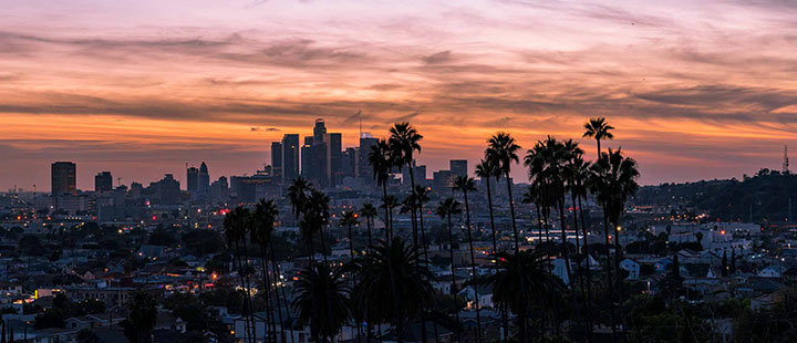 Los Angeles wealth management 